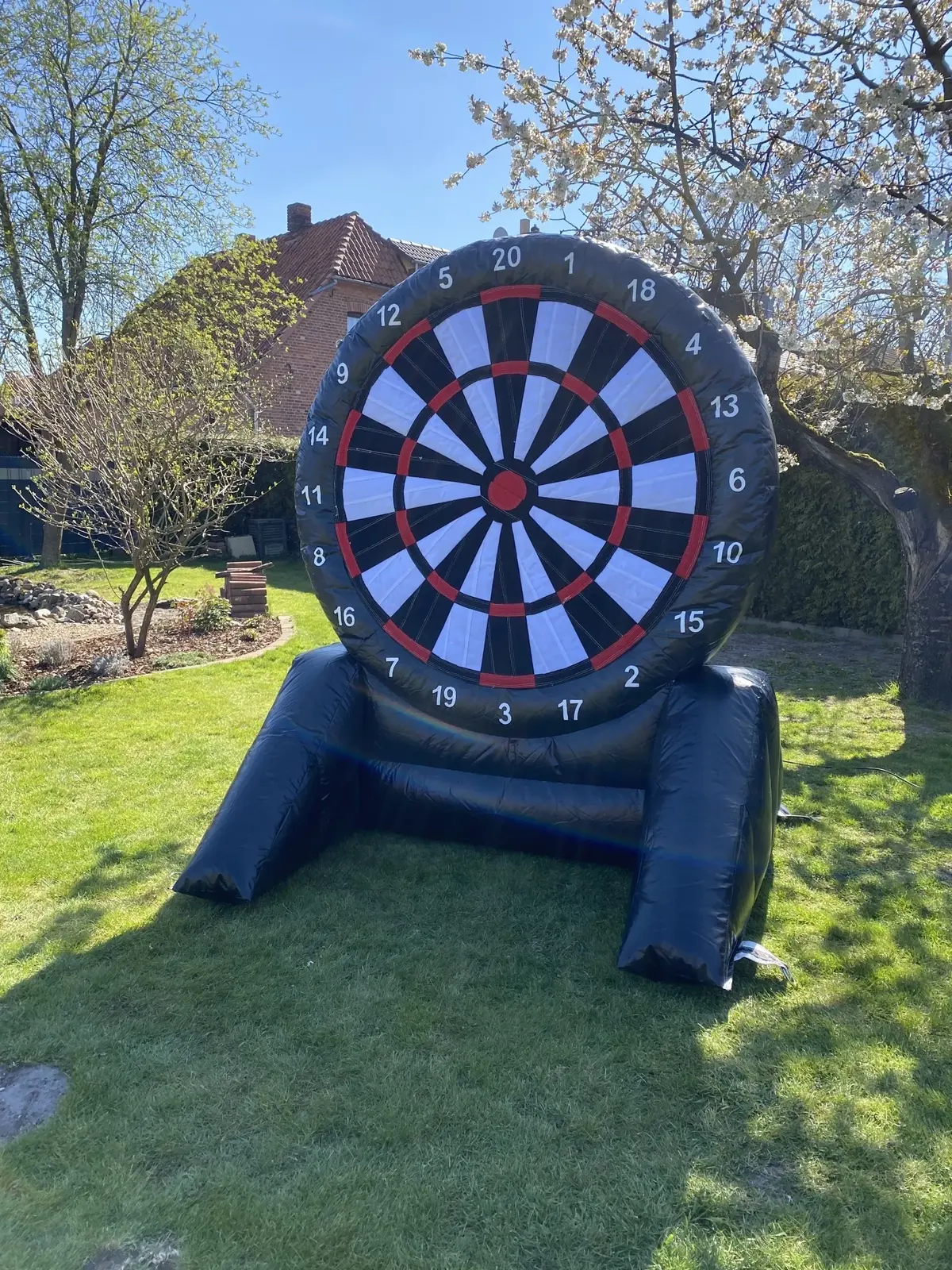 Riesendart mieten Gifhorn