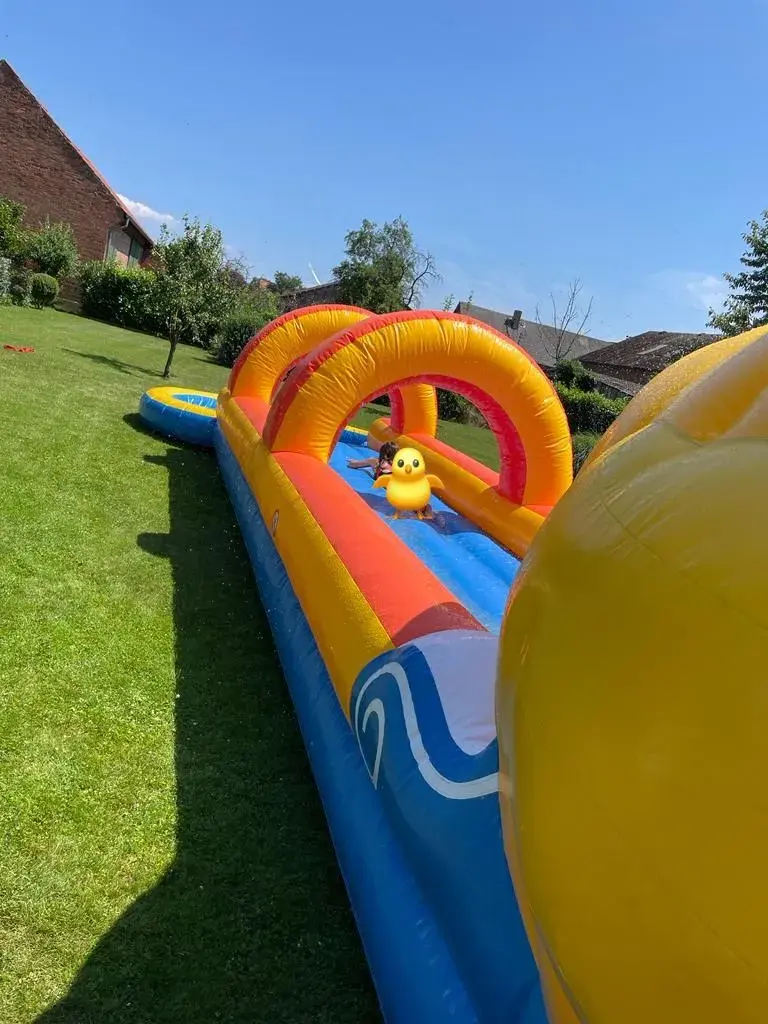 Ente Wasserrutsche Rutsche